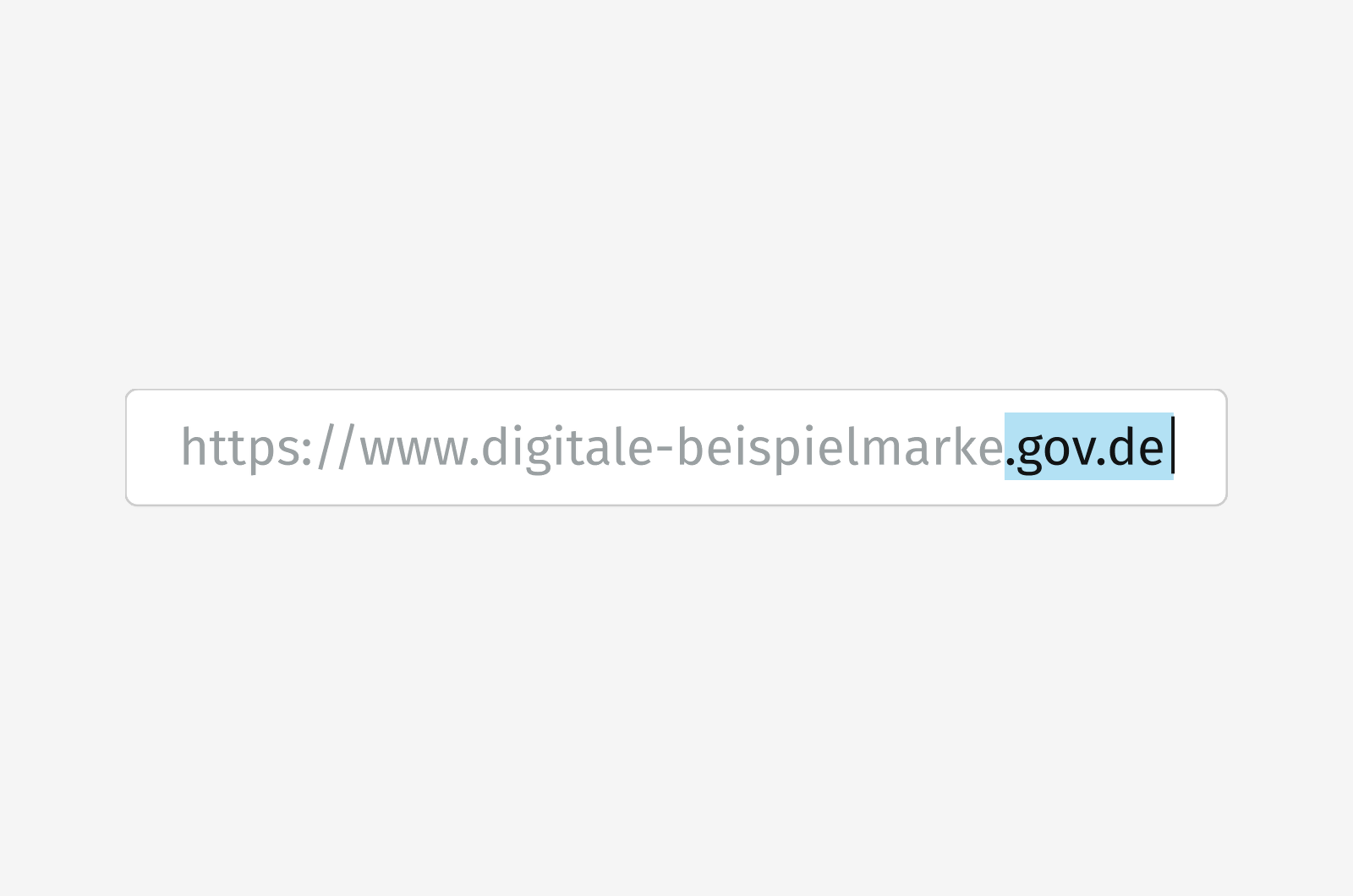 Adresszeile mit der Beispiel-URL „digitale-beispielmarke.gov.de“, bei der die Endung „.gov.de“ blau markiert ist.