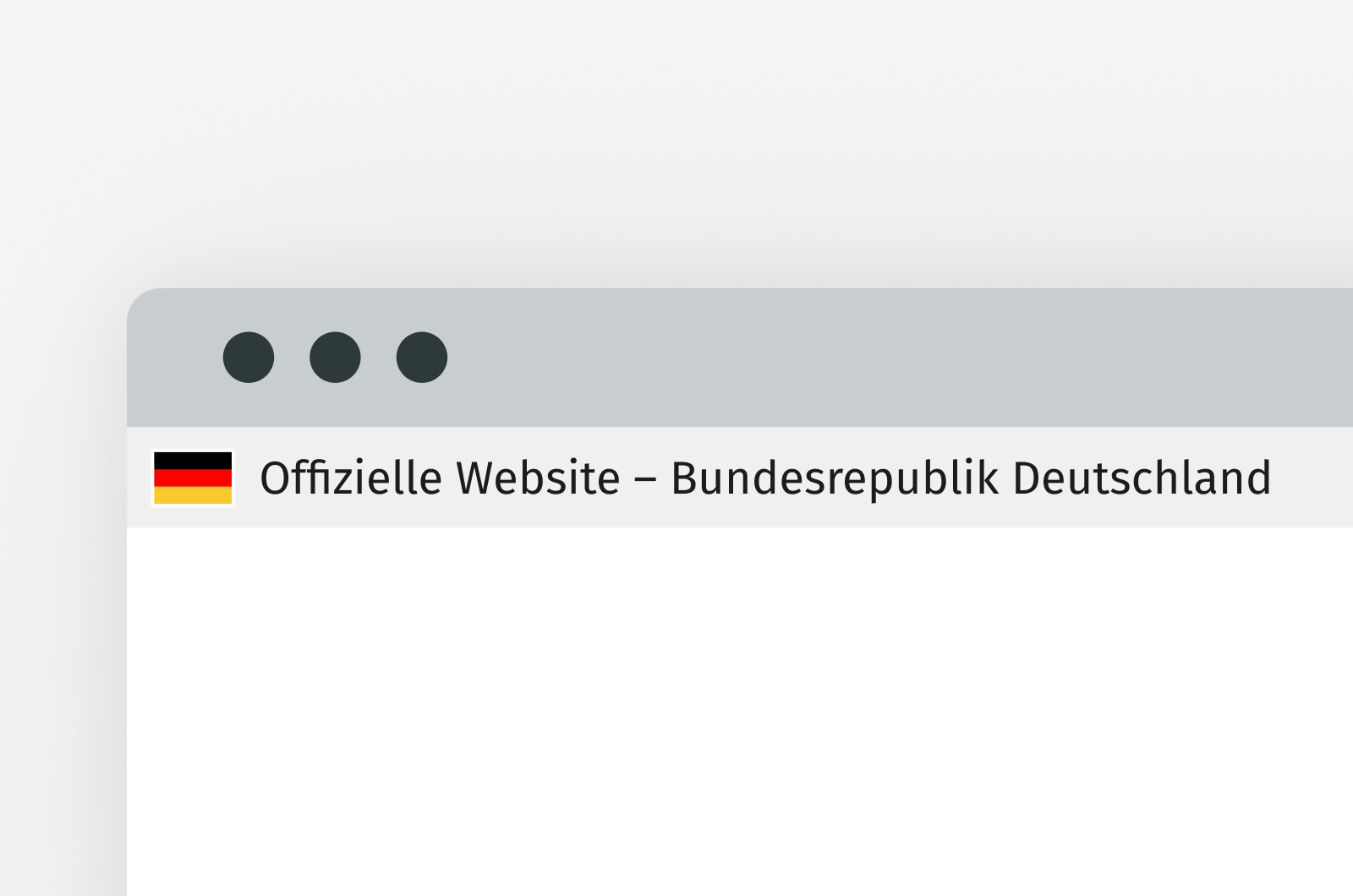 Grau hinterlegtes Banner. Ist am oberen Rand der Webseite angeordnet. Zeigt kleine Deutschlandflagge und den Text „Offizielle Website – Bundesrepublik Deutschland“